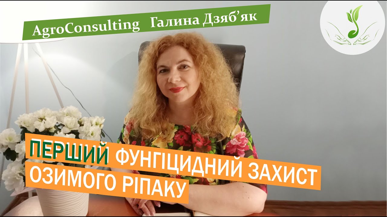 Стратегія підбору фунгіцидів для першого внесення на ріпак залежно від стану посівів