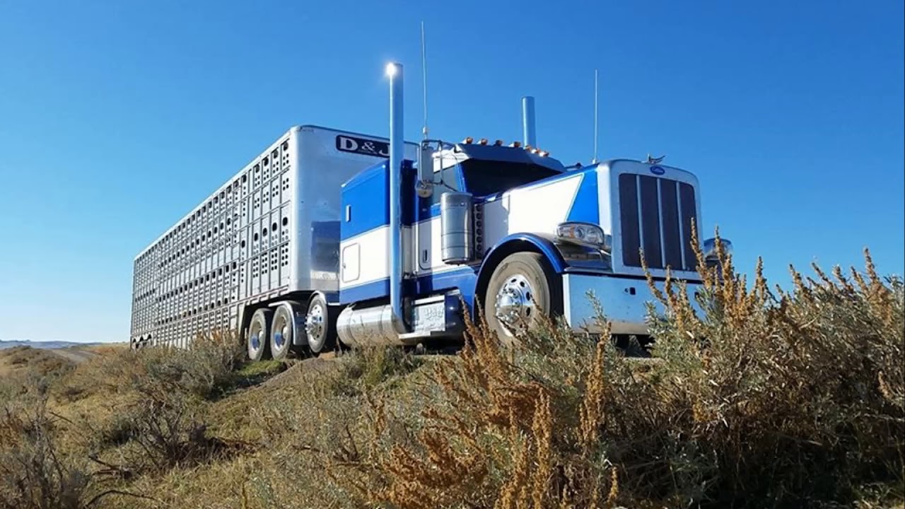 cow truck outlaws and outsiders