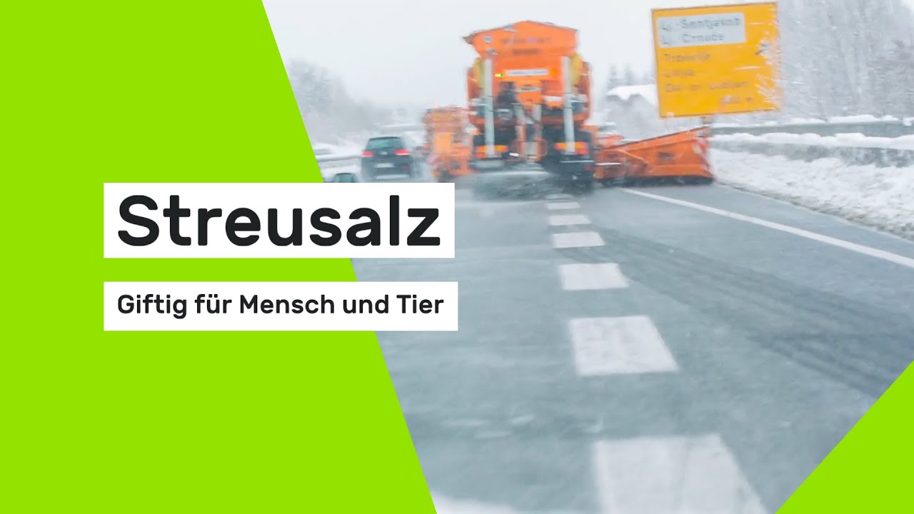 So giftig ist Streusalz f&uuml;r Mensch und Tier