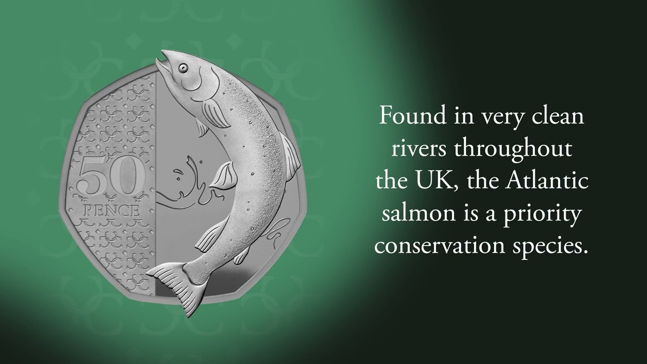 Unveiling His Majesty King Charles III's First Definitive Coins | The Royal Mint