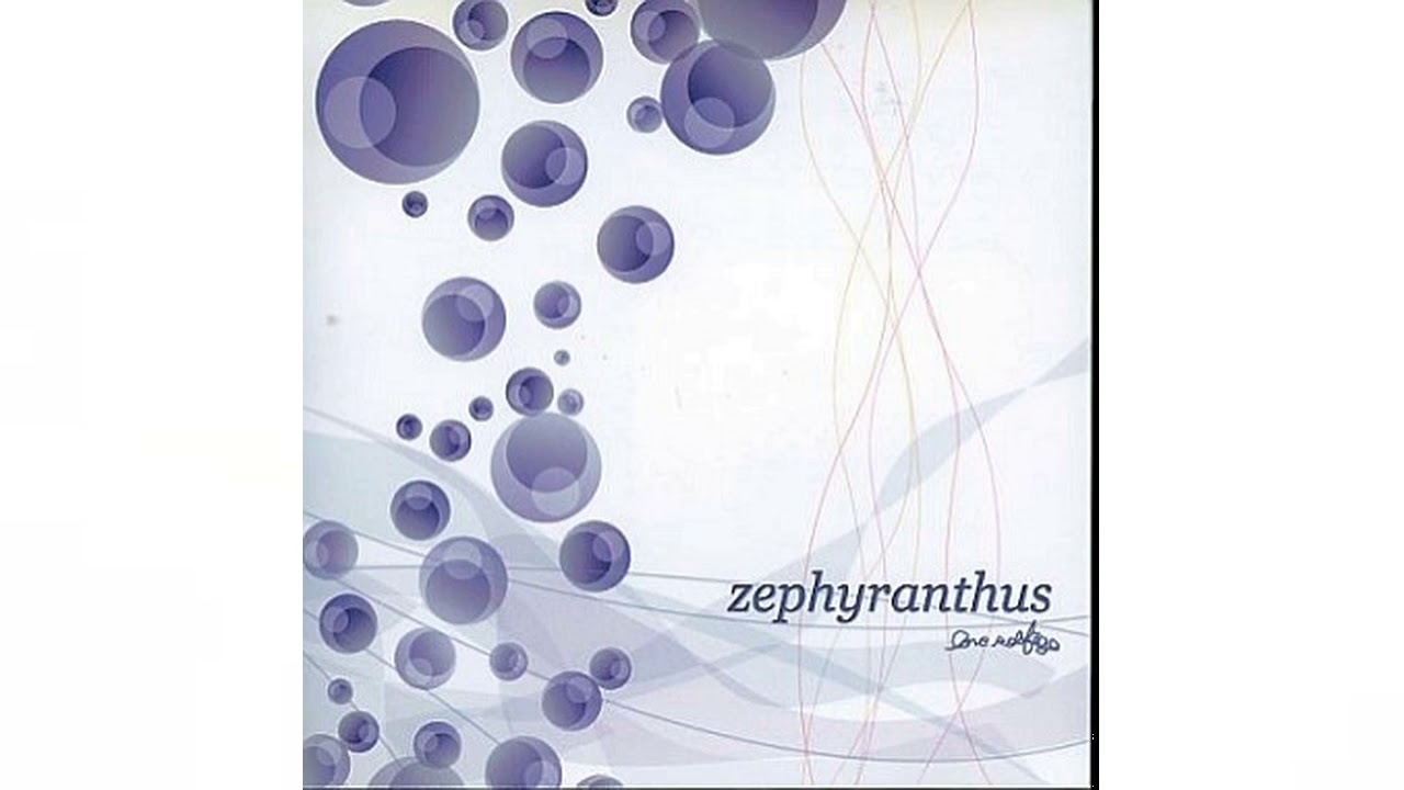 Love Solfege' - Zephyranthus