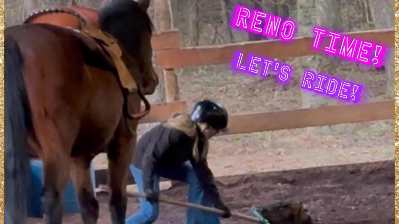 Reno Time! Riding With Reno Makes My Heart Melt #horses #ridinglessons #horsegirl 