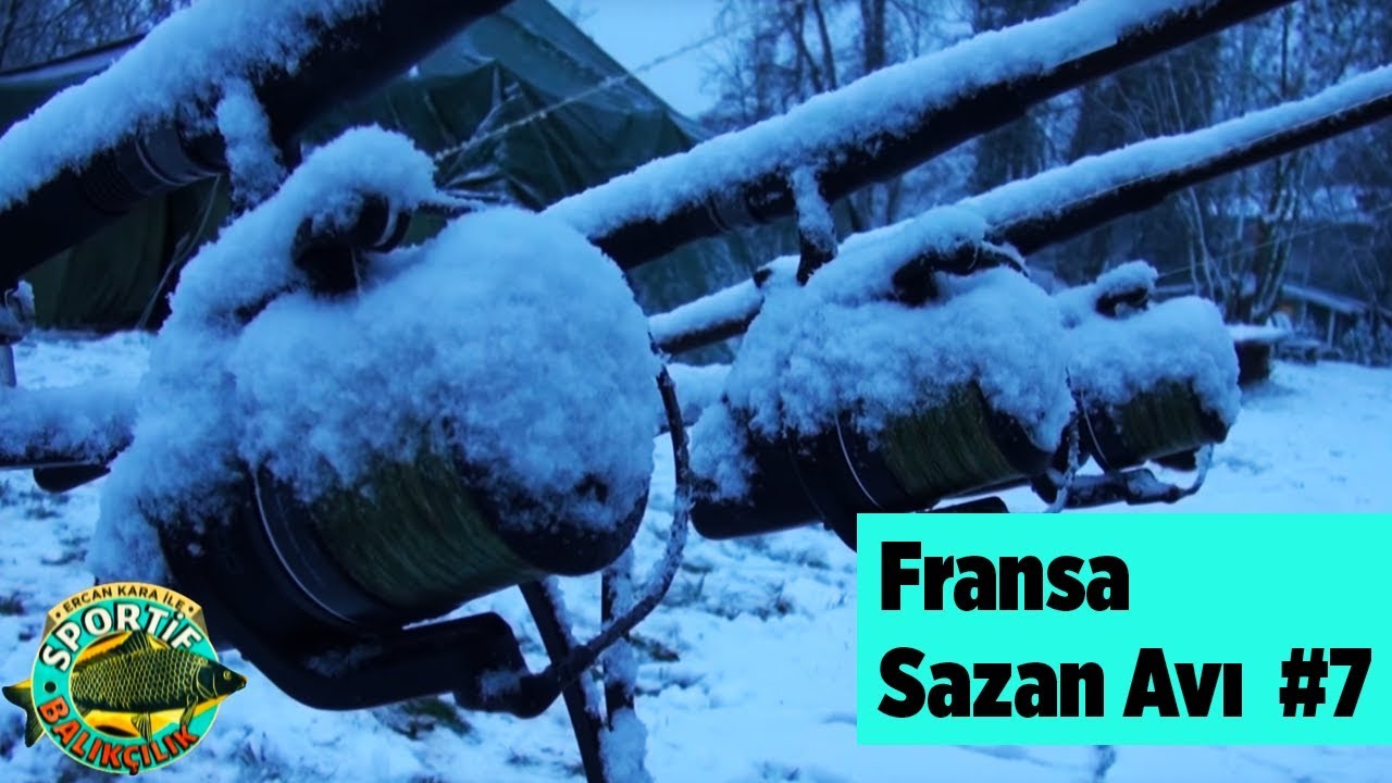 Sportif Olta Balıkçılığı Almanya Sazan Avı 7 Sportif Balıkçılık Ercan Kara Yaban