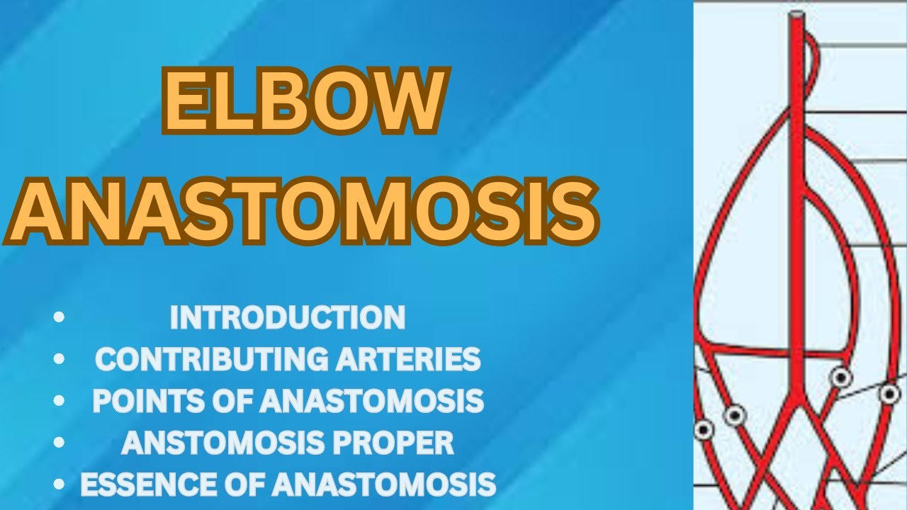 ELBOW ANASTOMOSIS MADE VERY EASY