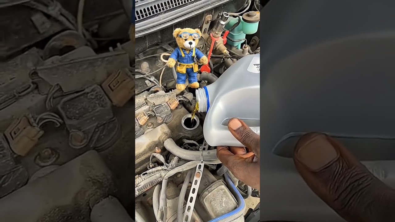 Oil change And Checking