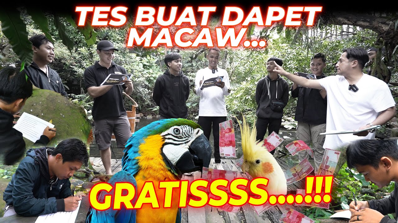 INI DIA UJIAN DAPET MACAW GRATIS...!!! PEMENANGNYA ADALAH....