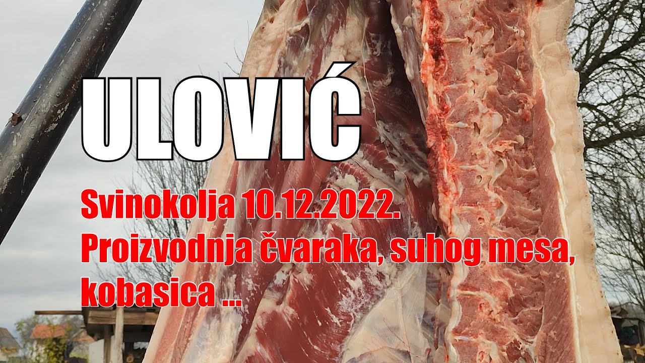 Ulović | SVINJOKOLJA | 10.12.2022.