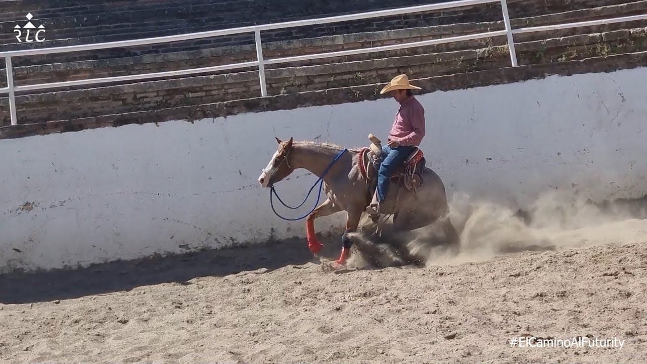 C02P01 - El Camino Al Futurity - LA MUSA en su sesión completa