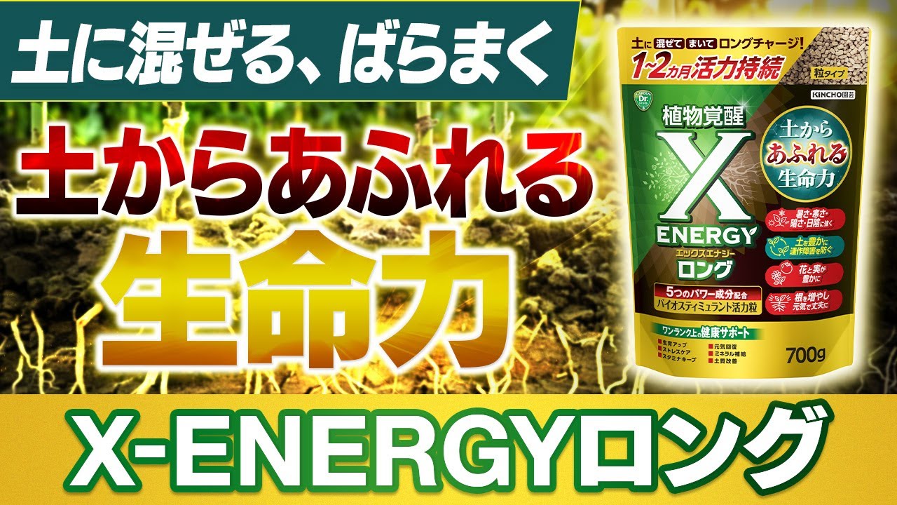 土に混ぜる、ばらまく　土からあふれる生命力～X-ENERGY（エックスエナジー）ロング 粒タイプ～ガーデンドクターTV62