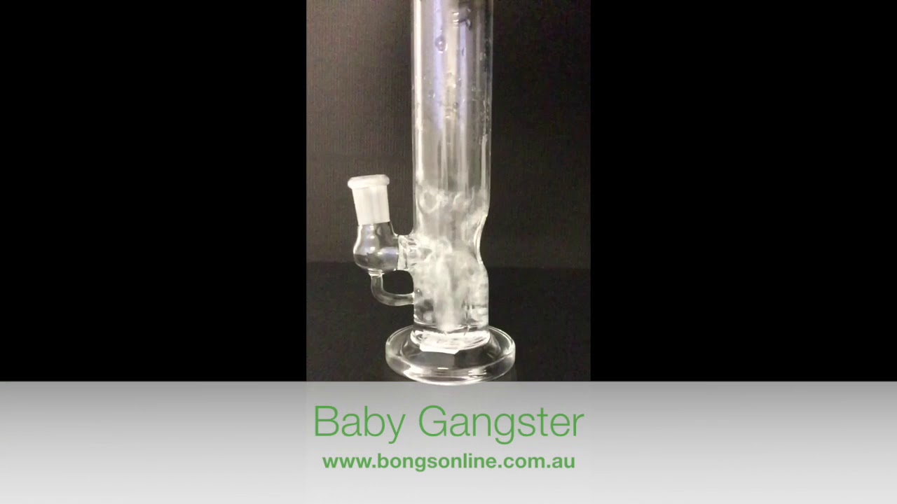 Baby Gangster