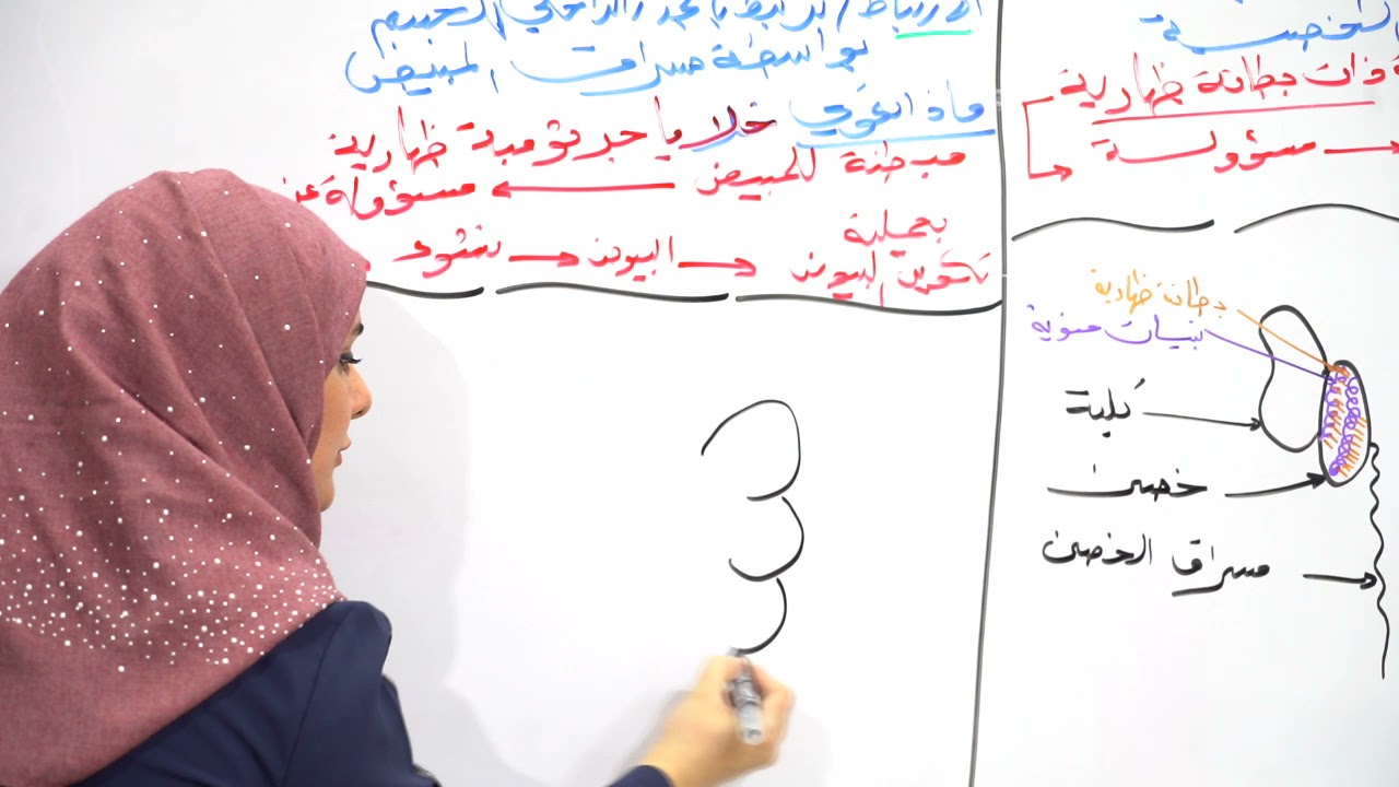 التكاثر في الضفدع احياء سادس علمي