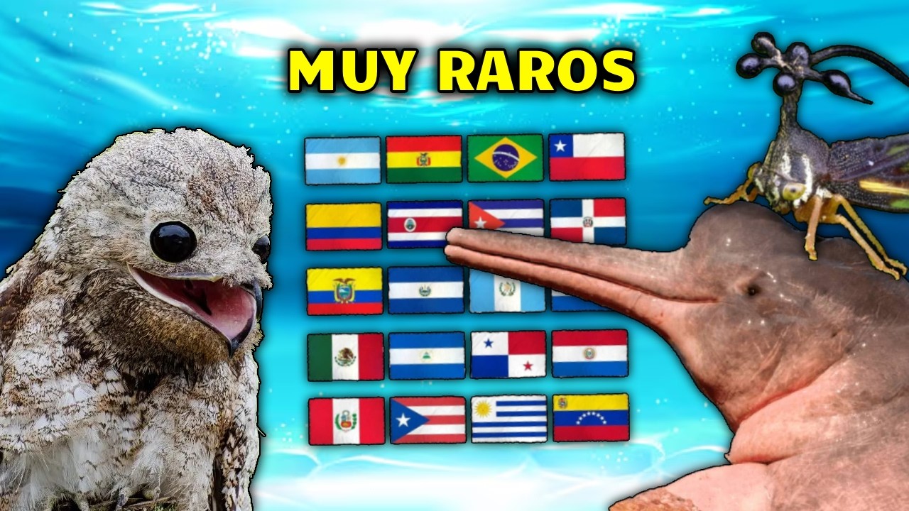 Los 10 Animales mas RAROS de LATAM
