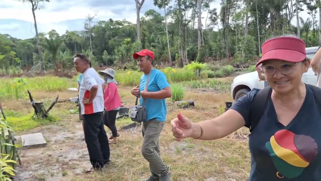 MUS SAIB HMOOB SURINAME 28082023 Hmguyane