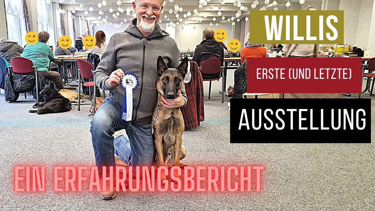 Hunde Ausstellung - ein Erfahrungsbericht @Willi der Malinois