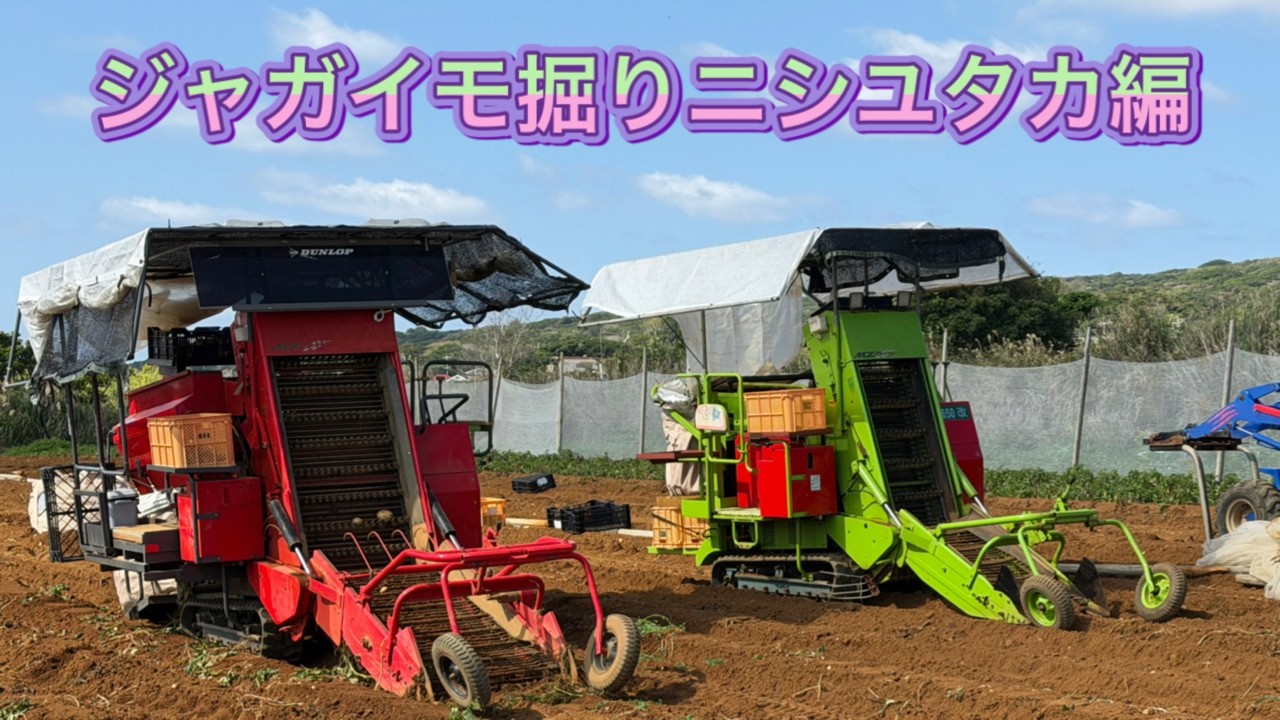 ジャガイモ掘り取りニシユタカ編