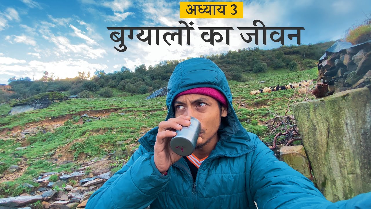 Shepherd’s Life in the Himalayas: Dangair Bugyal (डन्गैर बुग्याल) Final Chapter