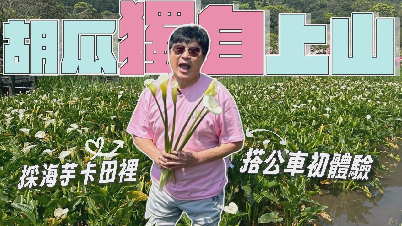 胡瓜人生第一次搭公車？直衝陽明山！體驗台北人的春季行程？！【下面一位】Ep59