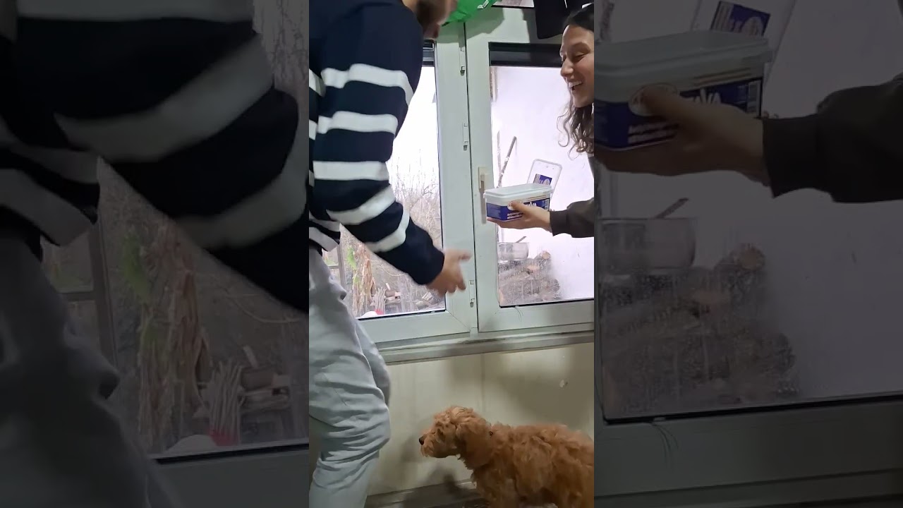 TESADÜFMÜ SEVGİMİ MUCİZEMİ😱😱‼️‼️‼️‼️
