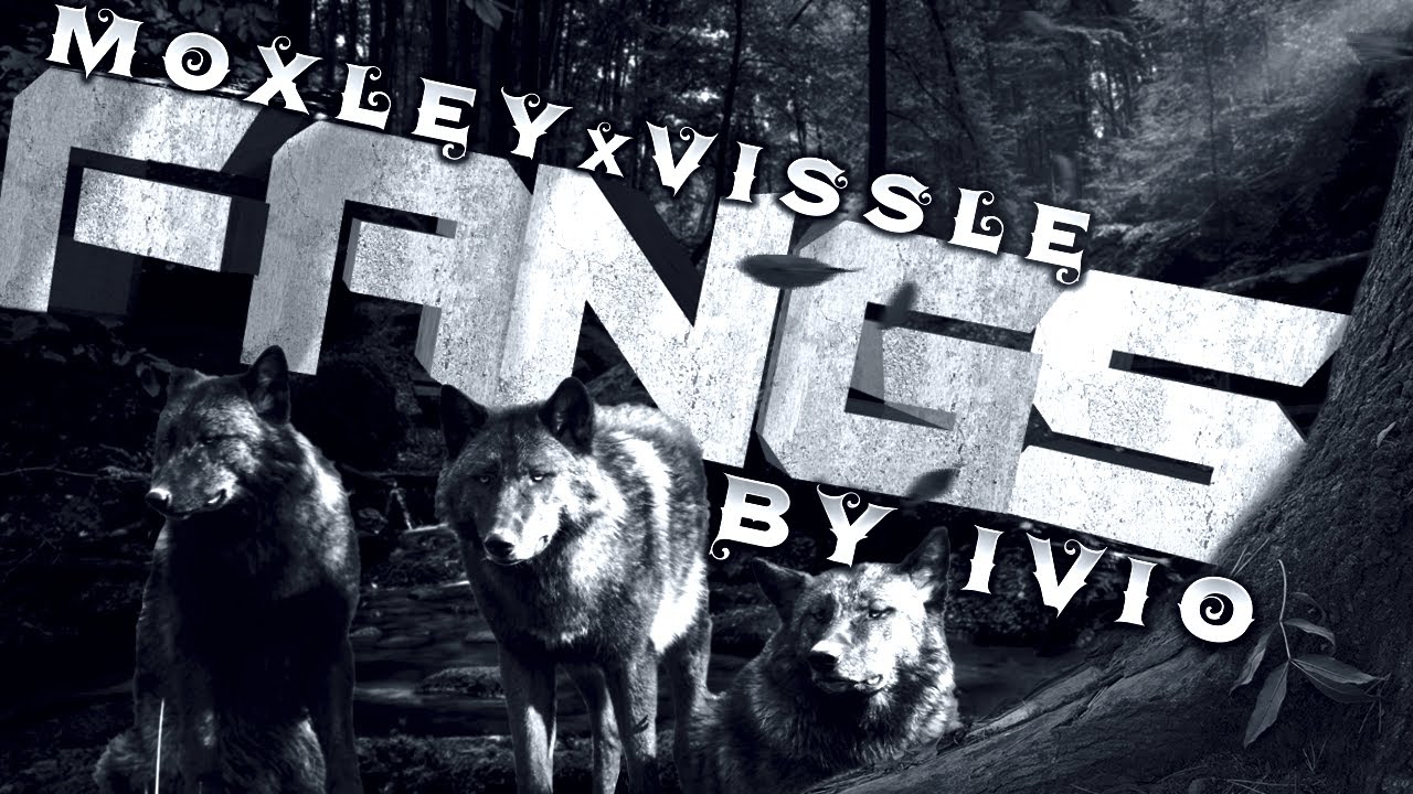 MOXLEY X VISSLE - FANGS (BY IVIO)