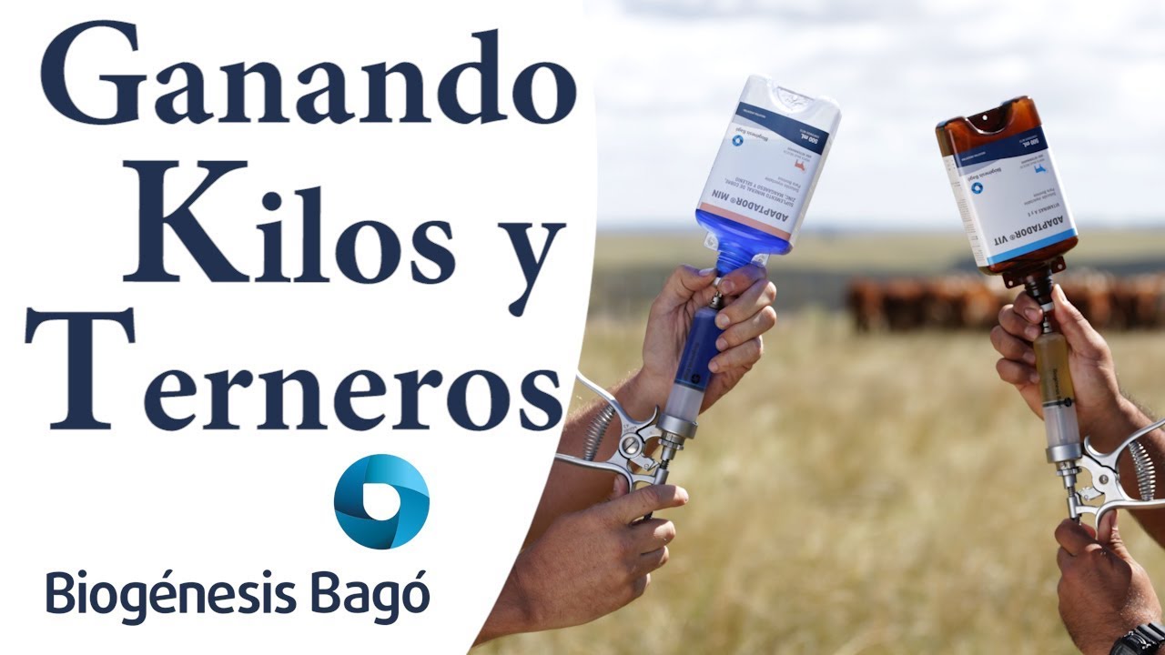 ¿ Cómo mejorar la producción del ganado ? Biogénesis Bagó