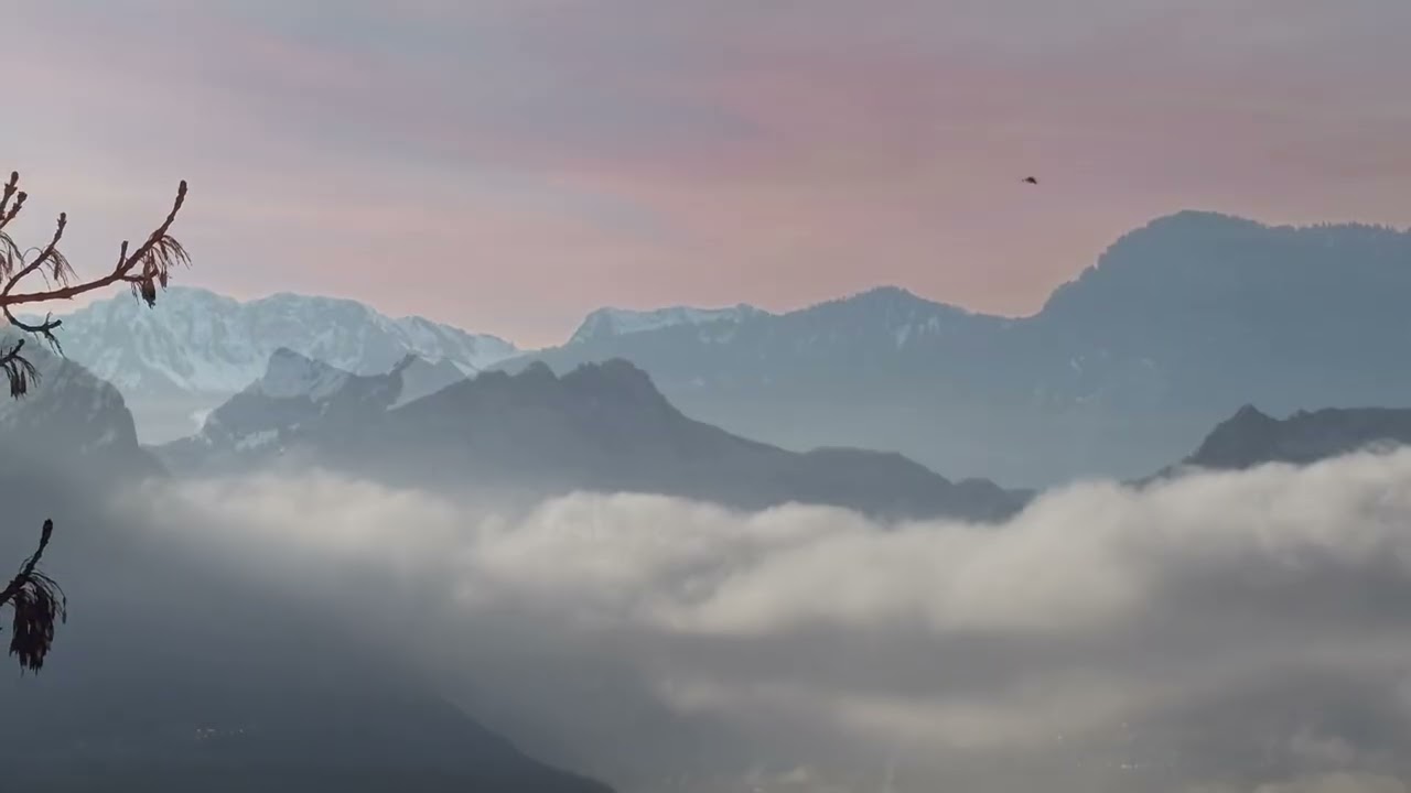 Couleurs au fil des jours 