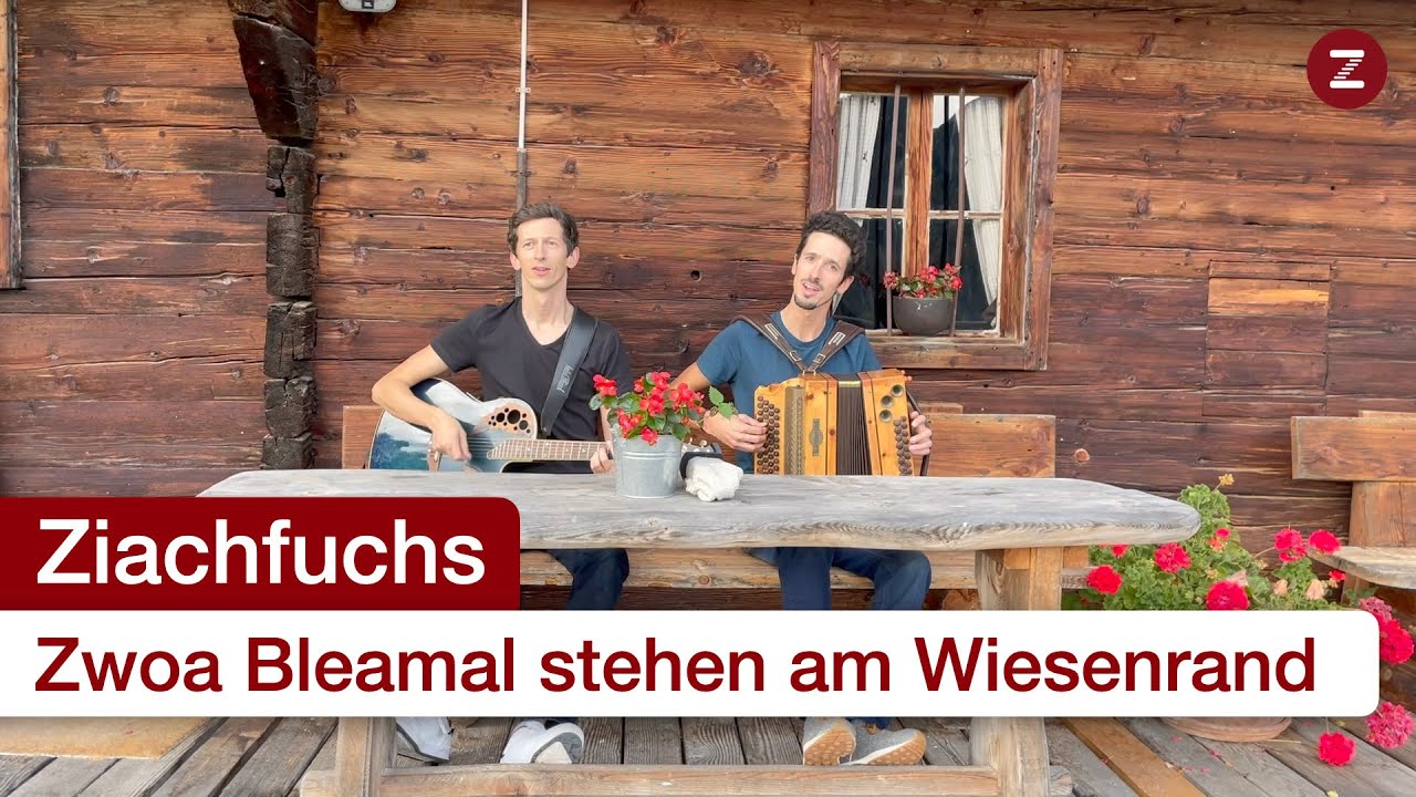Zwoa Bleamal stehn am Wiesenrand - Steirische Harmonika