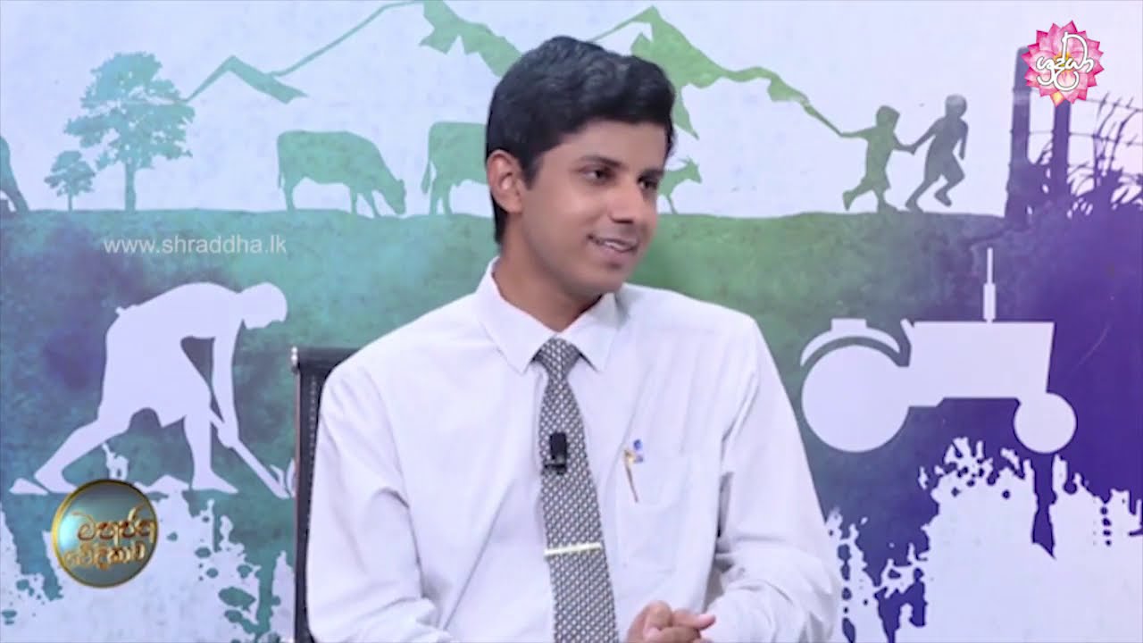 ඔබේ දරුවාගේ මානසික සෞඛ්‍ය පිළිබඳව ඔබ සැලකිලිමත් ද? | Mahajana Wedikawa