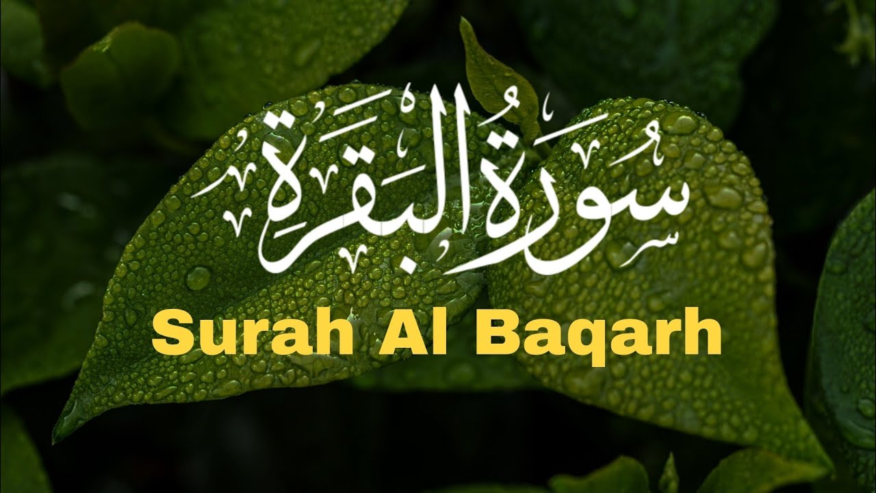 Surah Al-Baqarah | Full Surah | Powerful Quran Recitation