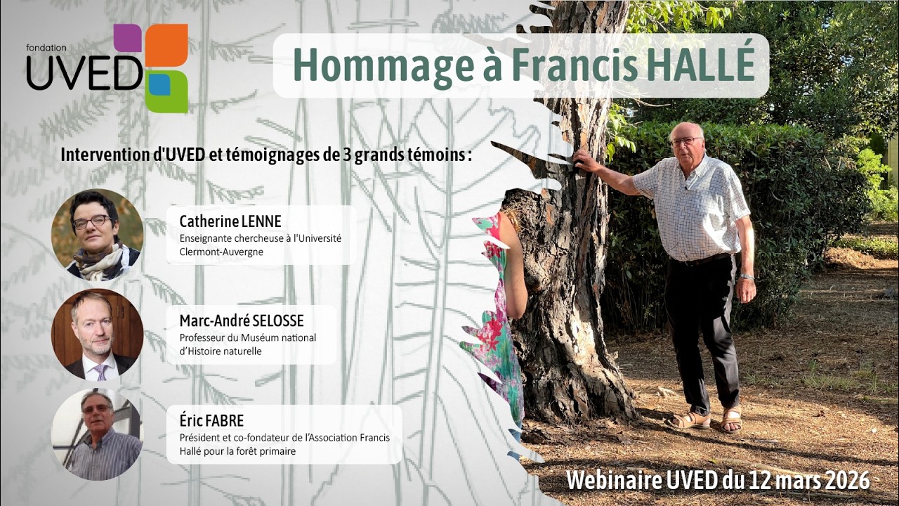 Hommages à Francis Hallé (UVED / C. Lenne / M-A. Selosse / E. Fabre)