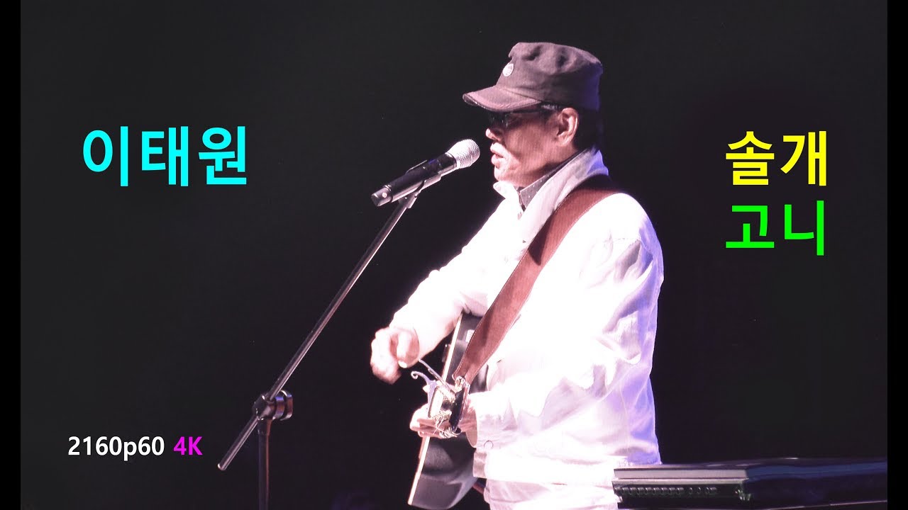 이태원 - 솔개 / 고니 (2018년 6월 16일)