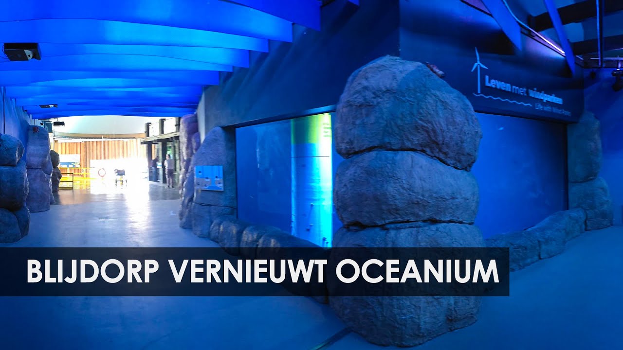 Diergaarde Blijdorp: Oceanium vernieuwd - Leven met Windparken