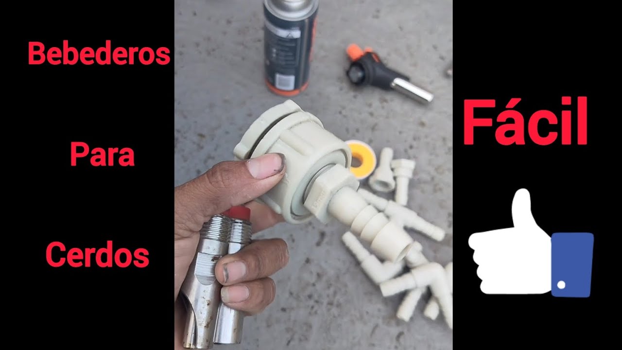 Bebederos para cerdos a qué medida van 