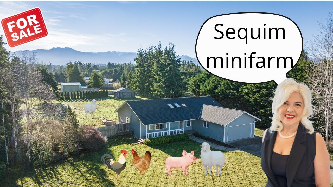 MINI FARM Barn | Olympic Mountain View! Port Angeles /Sequim WA Home1 Acre #portangelesrealestate