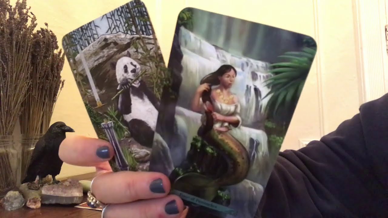 AQUARIUS- READY, SET, IGNITE! (FEB GEN)