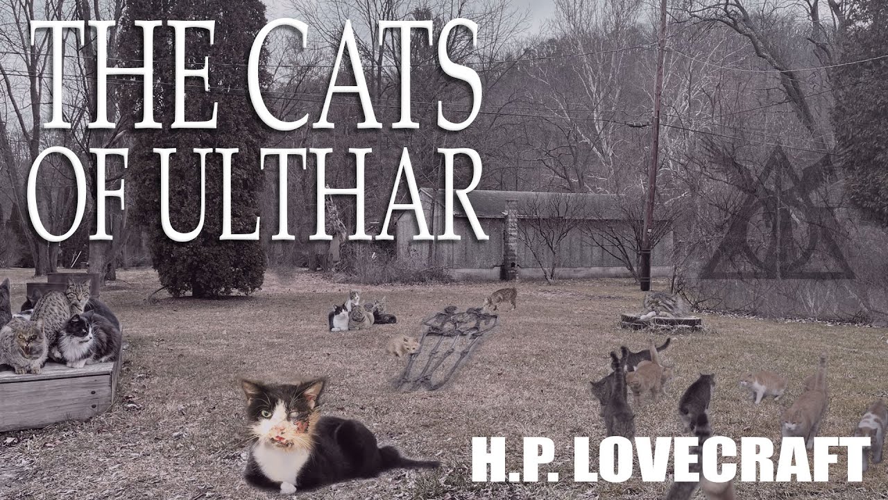 The Cats Of Ulthar - A Deranged tale of The Consequences of Fooling with Cats