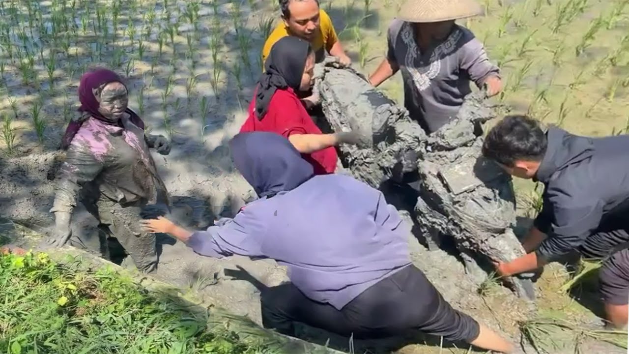 Hari Buruk untuk Tertawa -Random Konyol - Kebodohan  Bikin Malu Sendiri | Mau ketawa takut dosa -