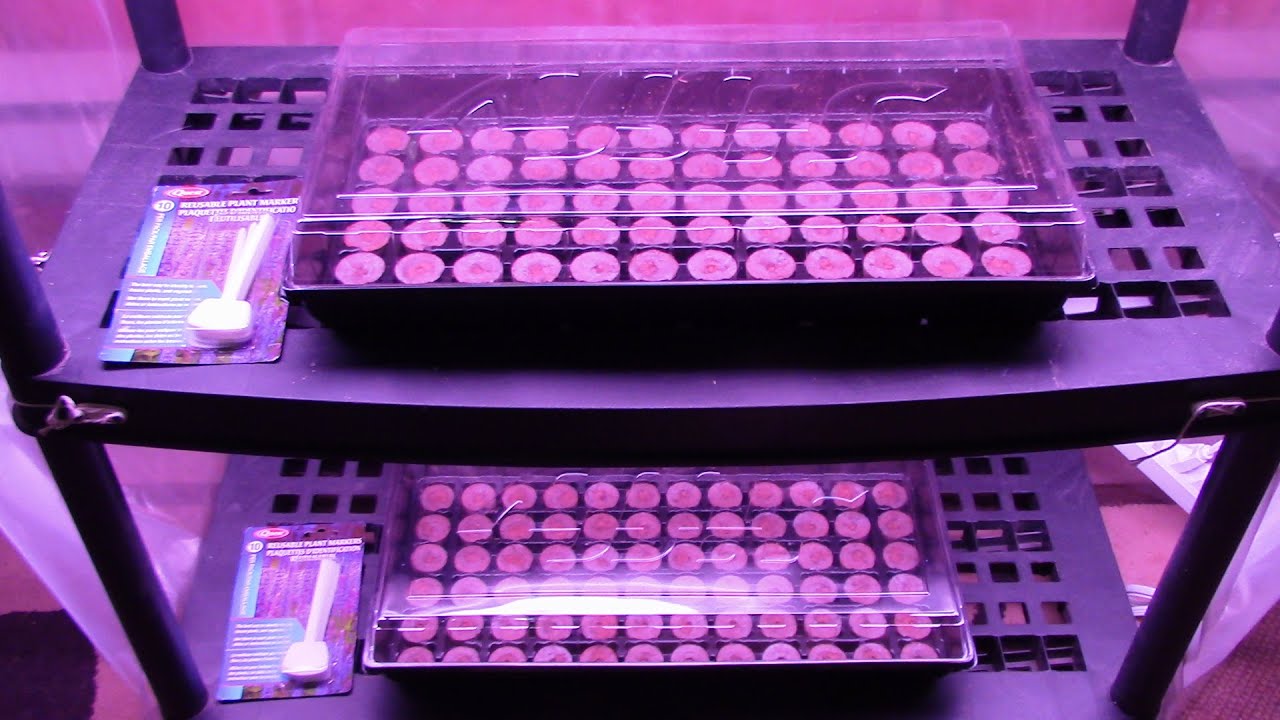 TIPS FOR GROWING SEEDS INDOORS / GERMINATION STATION / YEAR ROUND INDOOR GARDEN.