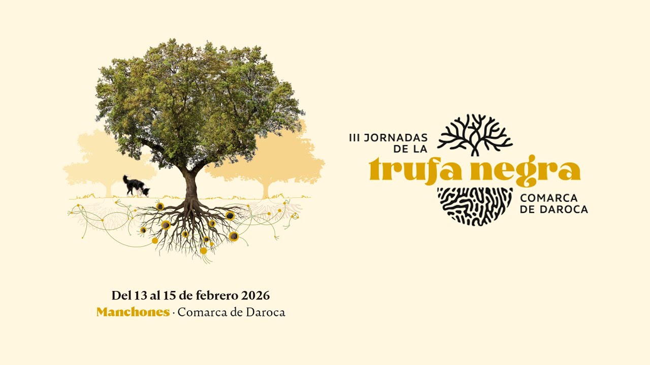 VII CONCURSO NACIONAL DE CAZA DE TRUFA DE LA COMARCA CAMPO DE DAROCA (sábado mañana 14/02/2026)