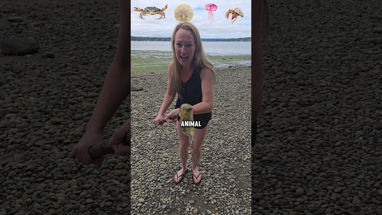 I have the best sea animal