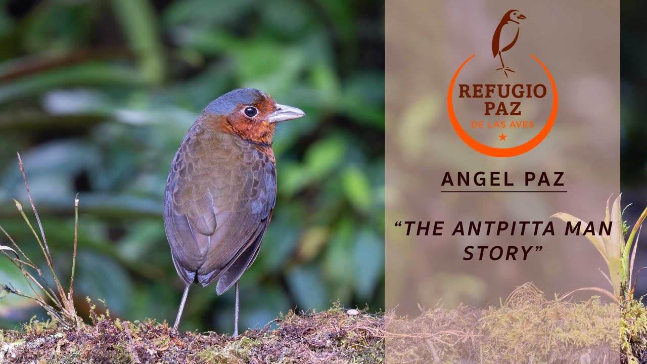 The Beginning of Refugio Paz de las Aves – The Story of Ángel and María