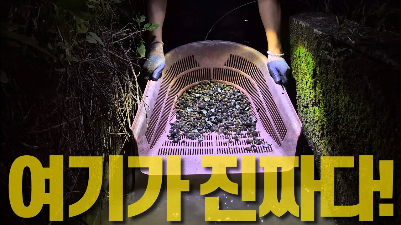 섬진강 아니어도 재첩, 이렇게 퍼올립니다!