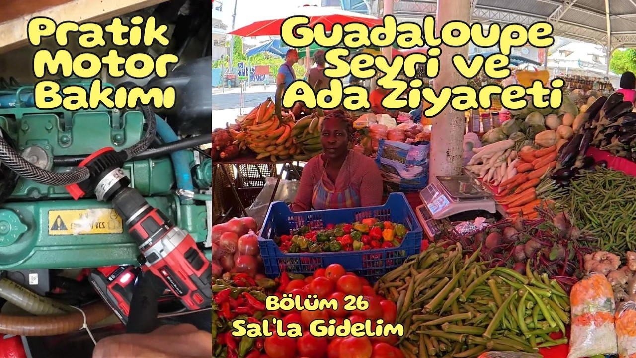 Bölüm 26 - Dominica Adası, Guadaloupe Seyri ve Rutin Motor Bakımında kolay yağ değiştirme