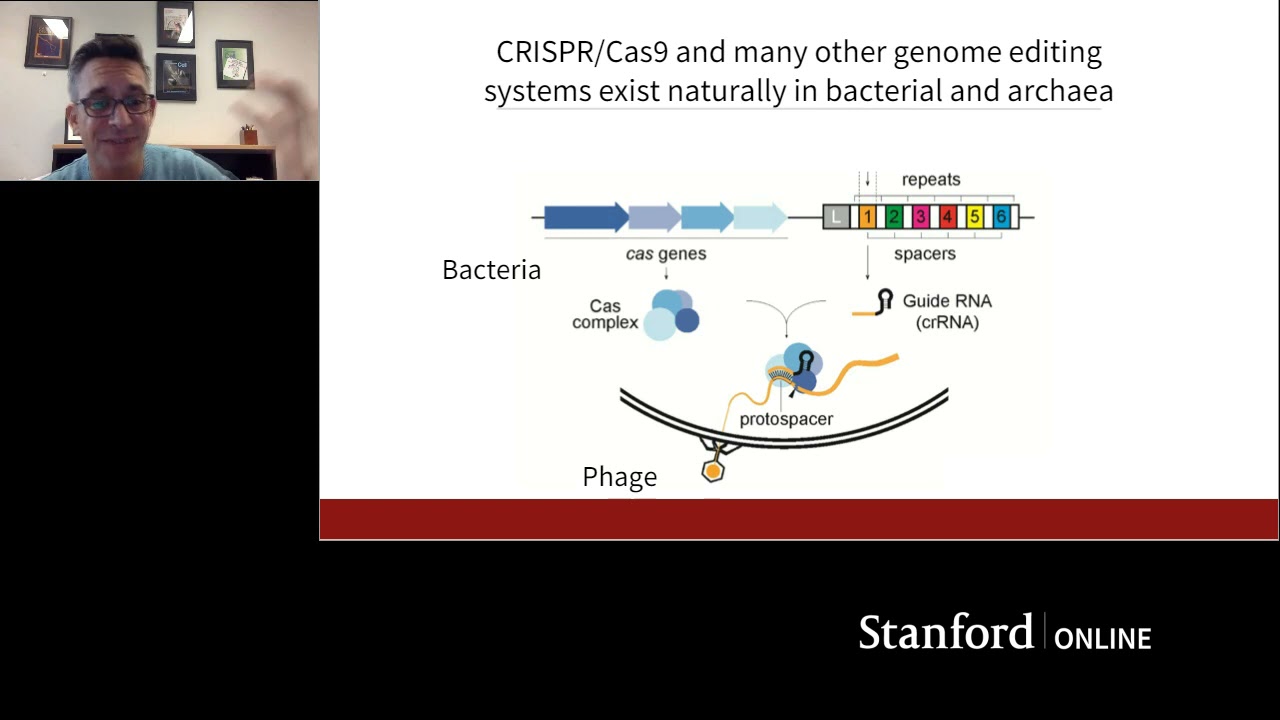 Вебинар в Стэнфорде: Как CRISPR меняет исследования рака