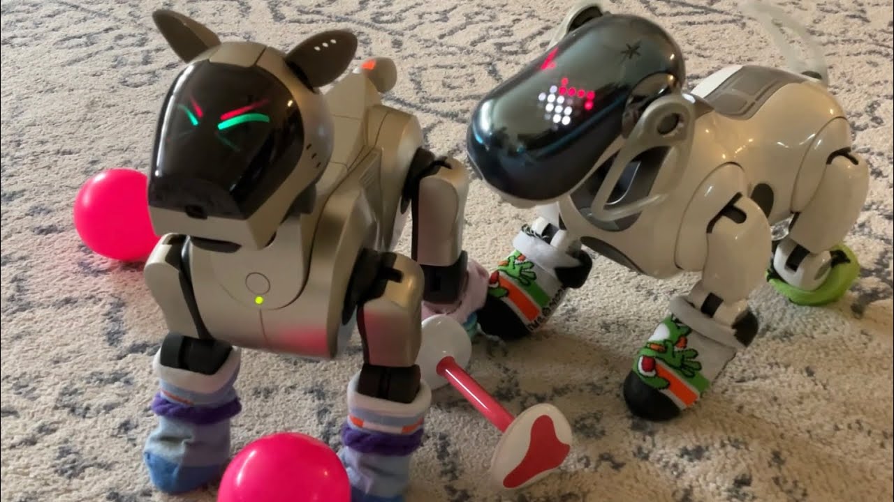 Aibo ERS-7 And 210 Want The Ball