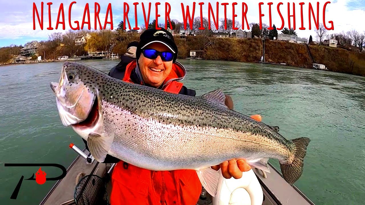 Niagara River Winter Steelhead & Walleye Fishing