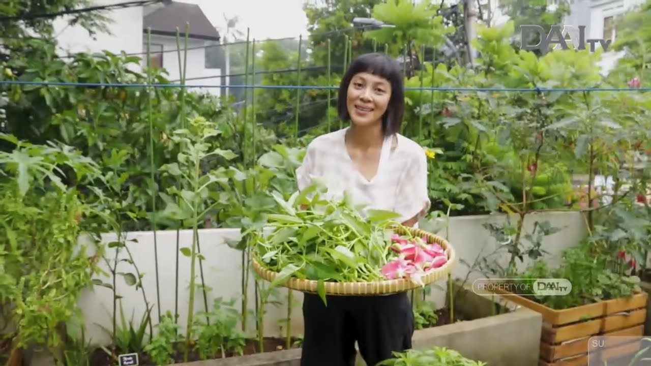 Kebunku Supermarketku