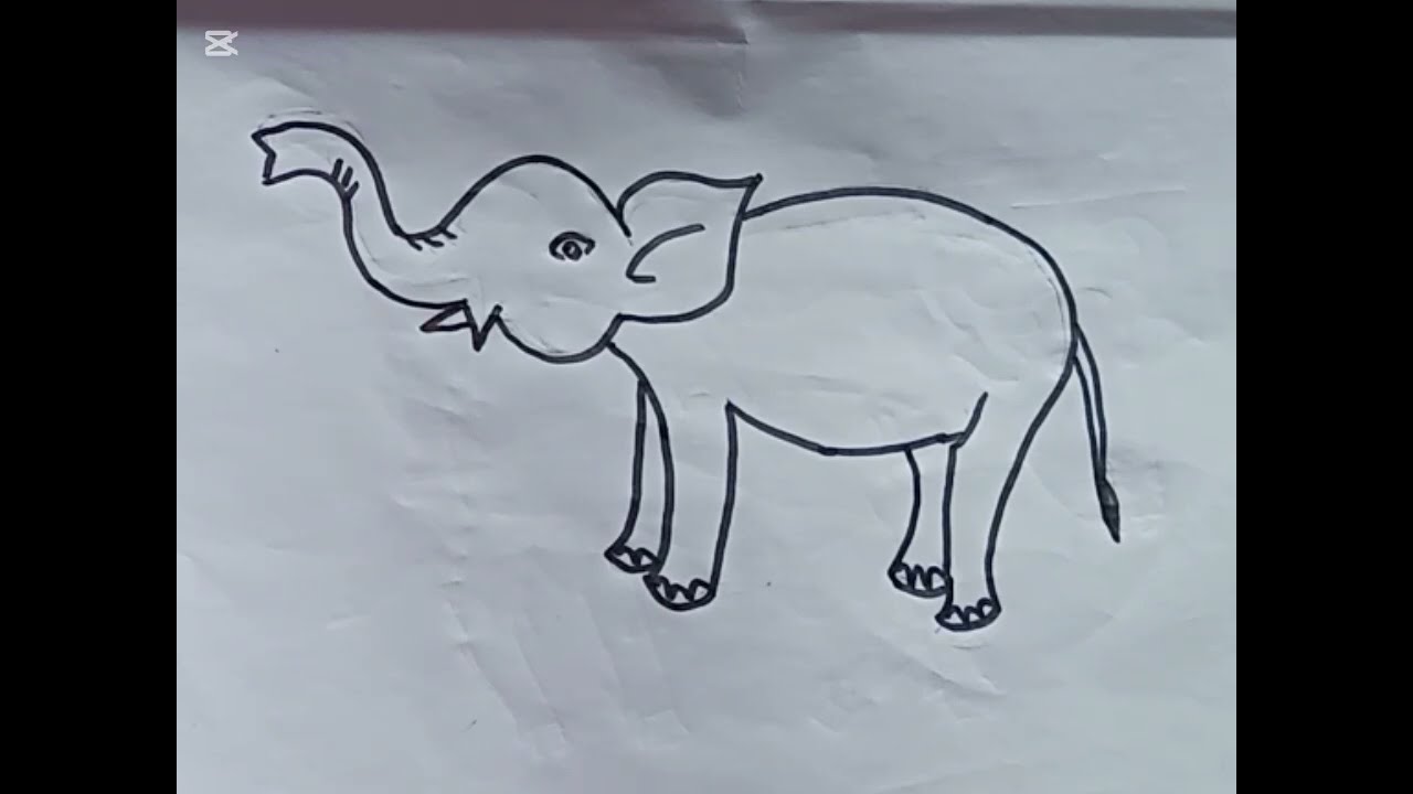 How to draw elephant drawing easy step by step@DrawingTalent 