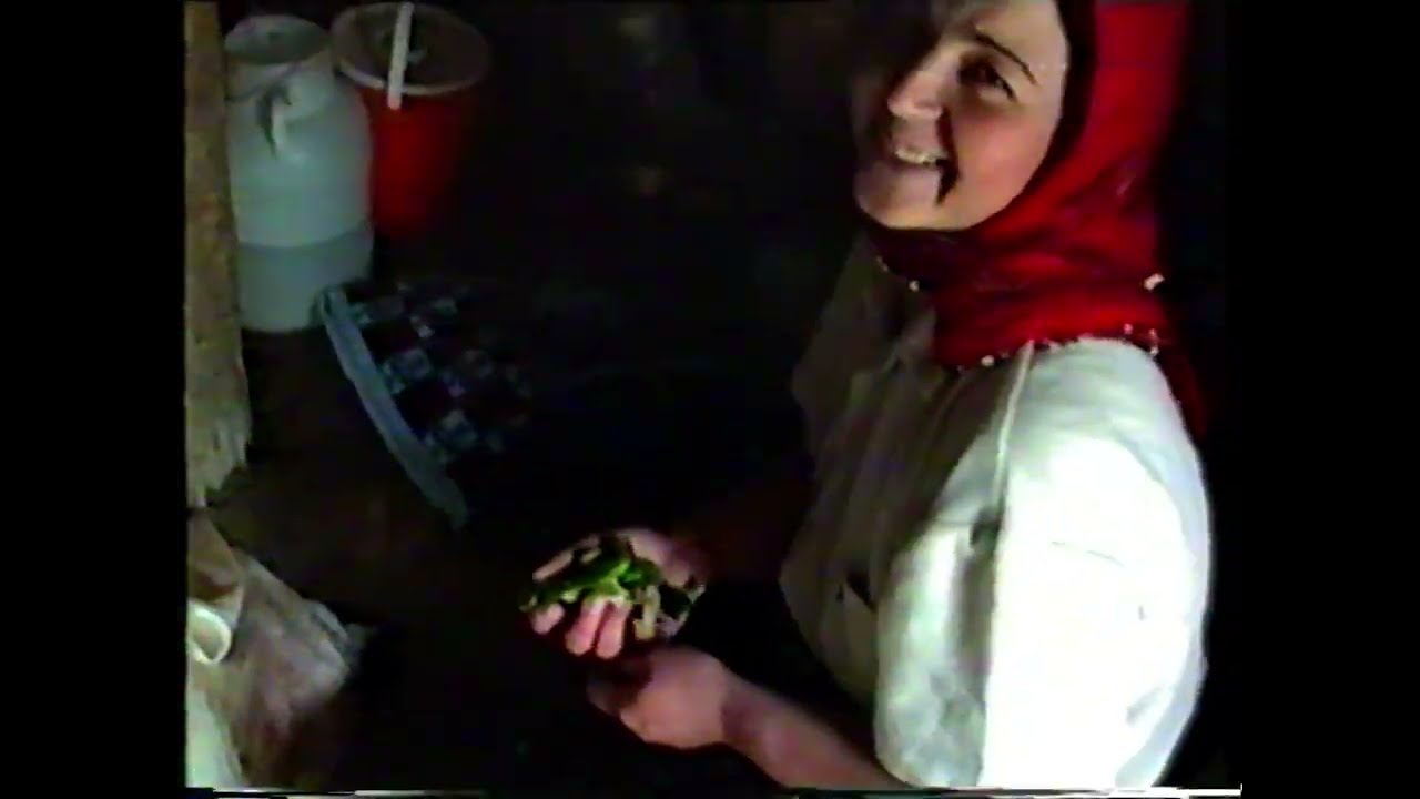 GÜZELBEYLİ(SİLİS) KÖYÜ YAYLA 1991 YILI