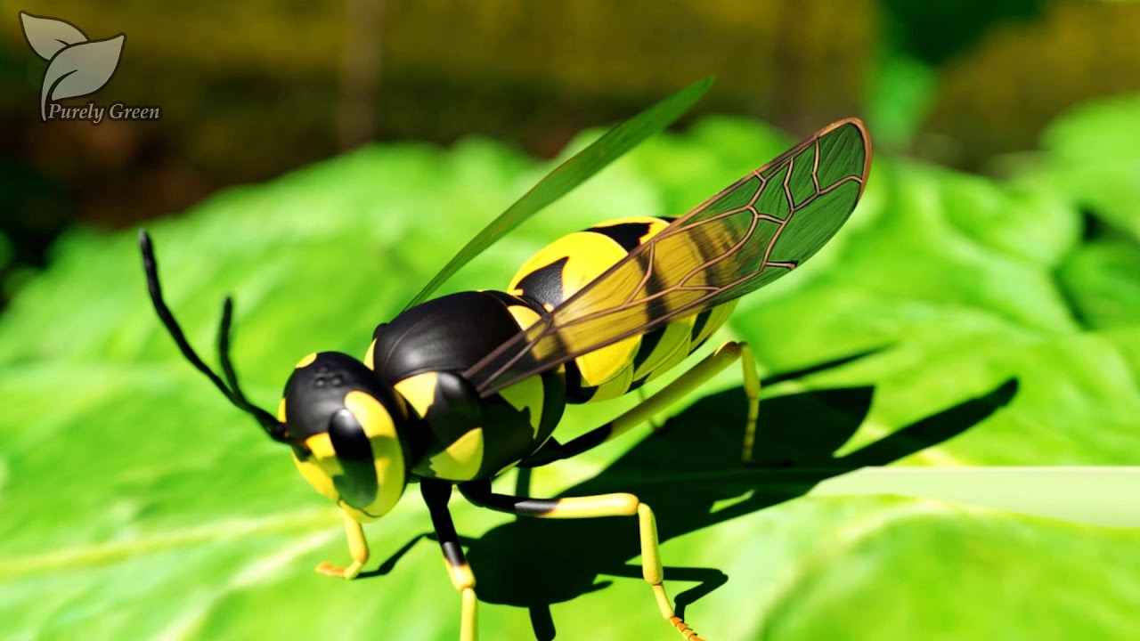 Purely Green BioPesticide