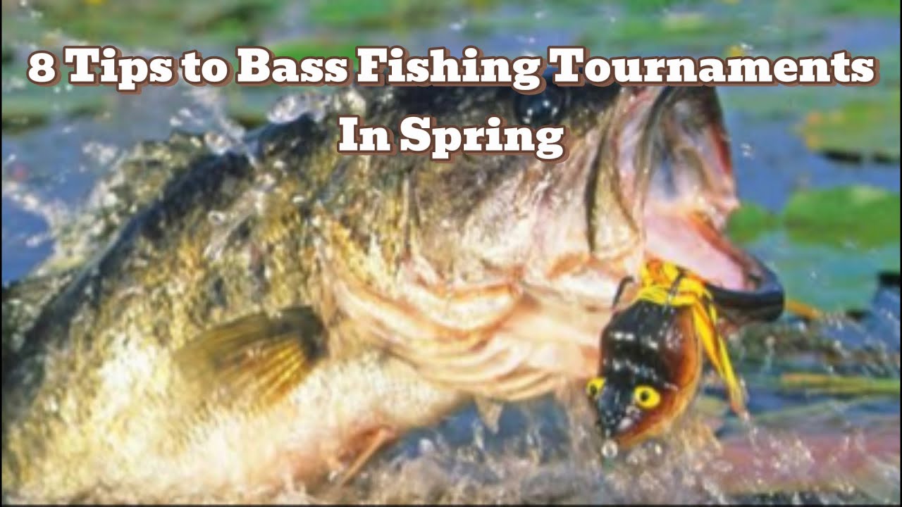 8 Tips to Bass Fishing Tournaments in Spring (must watch!!)